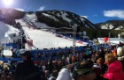 FIS Alpine World Ski Championships