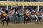 The Preakness Stakes