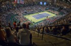 The Davis Cup Final